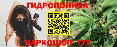 сатива Краснокаменск