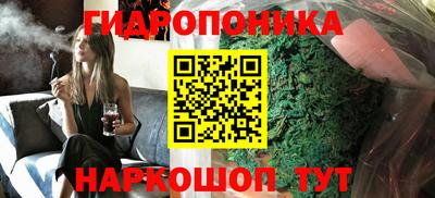 сатива Краснокаменск