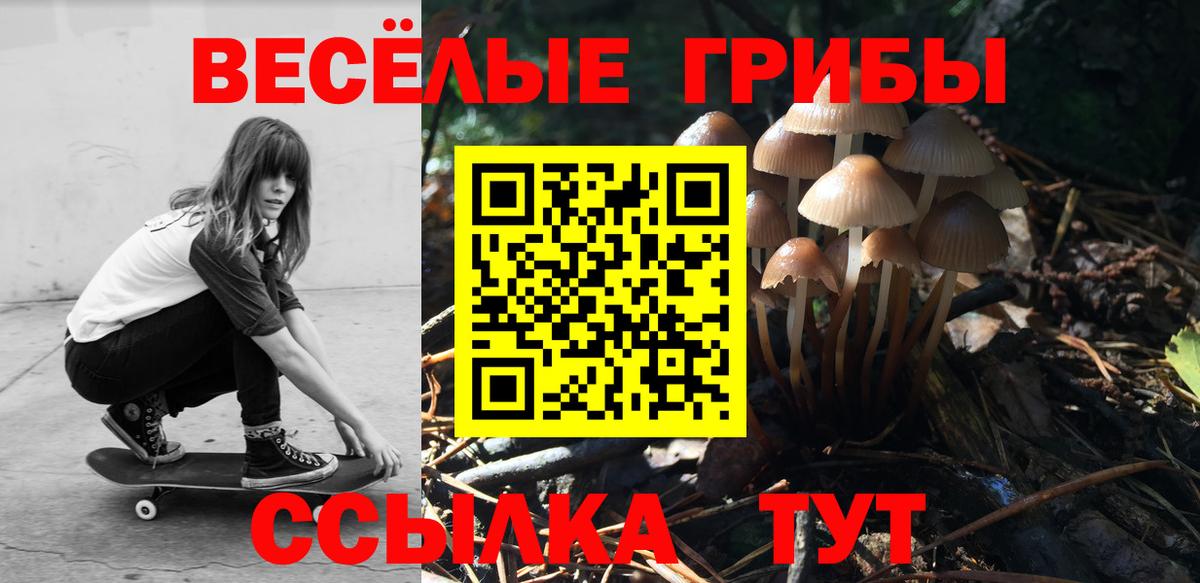Псилоцибиновые грибы Cubensis  Вход с VPN  Галлюциногенные грибы Magic Shrooms  Вольск 