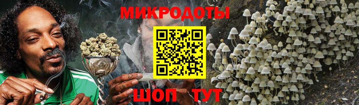 Псилоцибиновые грибы MAGIC MUSHROOMS Вольск
